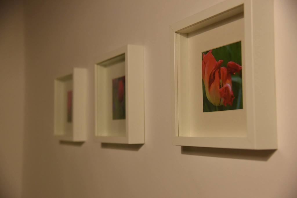 Das Tulpen Apartment Weiden am See Dış mekan fotoğraf